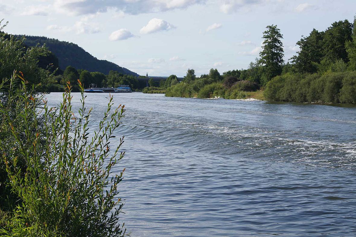 Der Main-Donal-Kanal: Dort findet das Schwimmen beim Bühler Beilngries Triathlon statt
