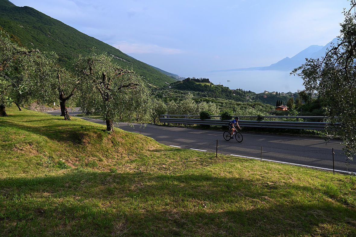 Sanft windet sich die Via Panoramica oberhalb von Malcesine empor