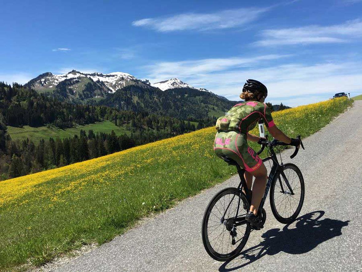 Allgäu pur: Radfahren auf kleinen Straßen durch die Löwenzahnwiesen, dahinter die noch schneebedechten Allgäuer Alpen